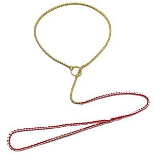 Collar de Choke para entrenamiento de perros, cadena de Metal antideslizante de latón, cuerda tejida de nailon, cuerda trenzada de plomo para perros pequeños a grandes - Product Image 3