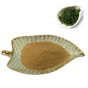 Заводская поставка, чистая натуральная трава, экстракт гиностеммы, пентафиллум, экстракт гиностеммы, порошок гипенозидов 3%-98%, Лидер продаж - Product Image 1