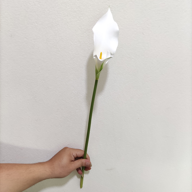blanc YL80450-1