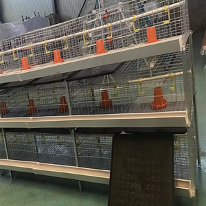 Cage de batterie de poulet automatique à 3 couches-Équipement de ferme avicole à 2 portes <span class=keywords><strong>pour</strong></span> l'élevage de poulets de chair (état neuf, meilleur prix) - Product Image 3