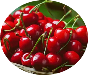 Cherry Extract Powder Cherry Powder Natural Bulk Cherry Juice Powder