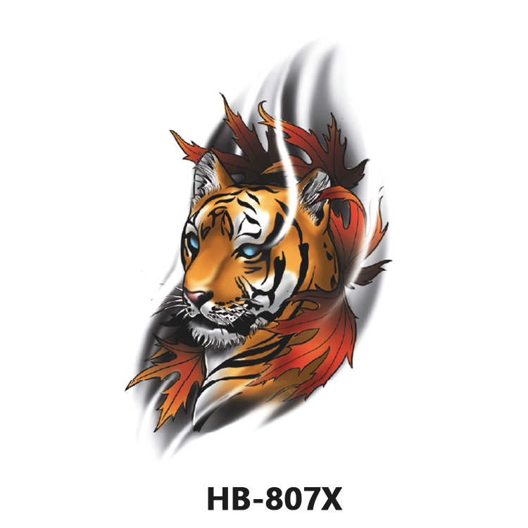 HB-807X