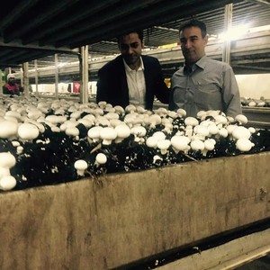 Invernadero Solar Pequeño con Aislamiento Térmico, Estructura <span class=keywords><strong>de</strong></span> Invernadero <span class=keywords><strong>de</strong></span> Energía Pasiva, Material PE, Invernadero Solar Pasivo - Product Image 6