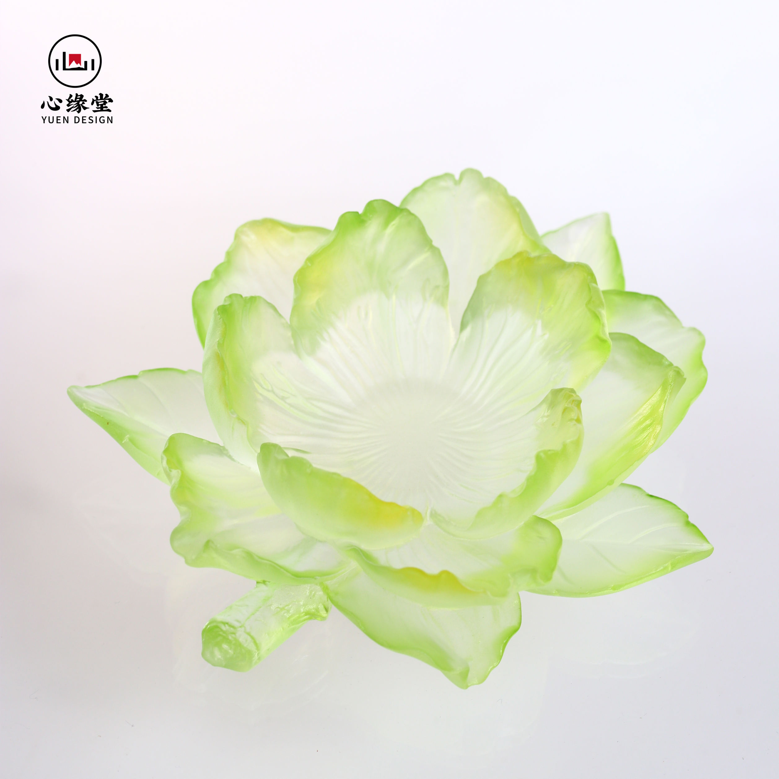 Jaune Gradient Paeonia lactiflora Tasse à thé Soucoupe