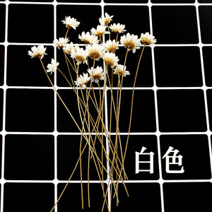 Flores Secas y Preservadas de Gypsophila (Baby's Breath) para Decoración y Regalo - Product Image 4