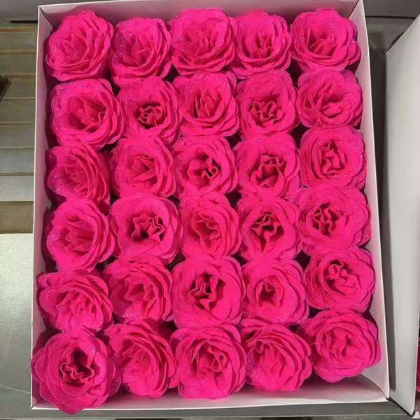 Rosa intenso