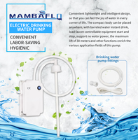Distributeur de bouteilles à double baril 5 gallons 3.8LPM 110A AC Machine à glace pour café Pompe à eau potable portable de qualité alimentaire