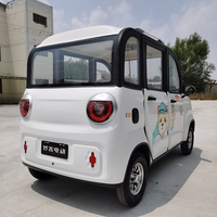 Voiture électrique miniature personnalisée à faible vitesse pour la famille, écran LCD 9 pouces, moteur 50-100 kW, batterie 90-110 kWh, charge utile 300 kg