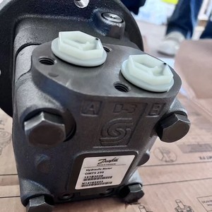 Moteur hydraulique OMTS250,151B3038 pour machines de construction - Product Image 6