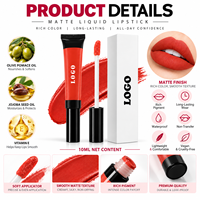 RTS Rouge à lèvres liquide mat velours 10 ml, imperméable, longue tenue, résistant au transfert, faible MOQ 1 pièce, vente en gros, logo personnalisé