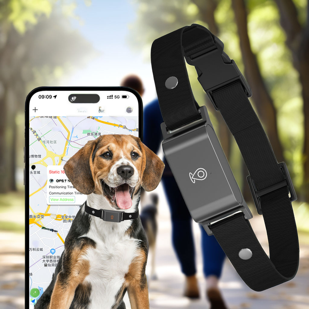 Version européenne noire