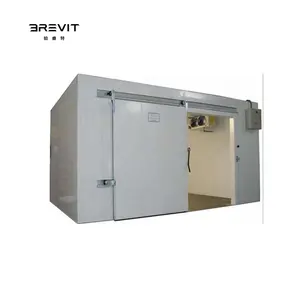 BREVIT制造商步行冷库冷藏室冷藏室制冷迷你冷藏室太阳能冷藏室存储