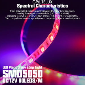 Bande lumineuse pour la croissance des plantes, 60 LED/m, DC12V, PCB 10mm, IP20/IP65, 12-14W/m, 660nm rouge, 450nm bleu, double spectre, ruban LED pour la croissance des plantes - Product Image 2