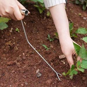 Sweet Potato Planting Tool - Angle-Designed <strong>Dibber</strong> for Higher Yields | Gentle on Seedlings | Flat-Planting Method - Product Image 2