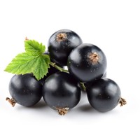 Voedingsmiddelkwaliteit, hoge zuiverheid, grote voorraad zwarte bessen fruitsappoeder, zwarte bessen fruitpoeder, volledig wateroplosbaar