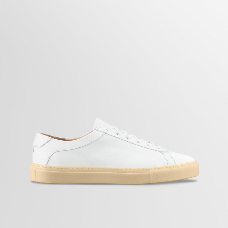 Color scheme Color 5