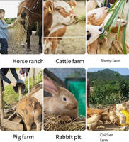 Mélangeur d'aliments pour volailles, unité de traitement des aliments pour animaux, prix, mélangeur d'aliments pour animaux à vendre, additif alimentaire Bio Earn Mix