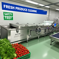 Línea de clasificación de lavado de frutas y verduras industrial-Lavadora de tomates con función de secado para uso comercial