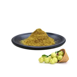 Private Label Amla extract Supplier Spray Dried Amla Powder Herbal Supplements Pure Amla Powder Extract