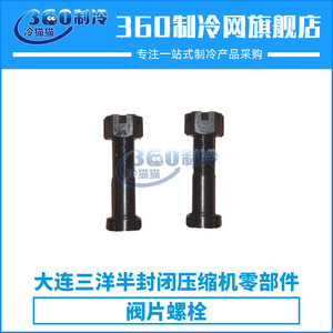 Pernos de Placa de Válvula Dalian Sanyo 186151 para Compresores de Tornillo y Recíprocos, Piezas de HVAC - Product Image 4