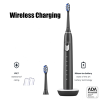 Brosse à dents électrique sonique OEM, Rechargeable IPX7, étanche, électronique, blanchiment des dents, minuterie pour adulte