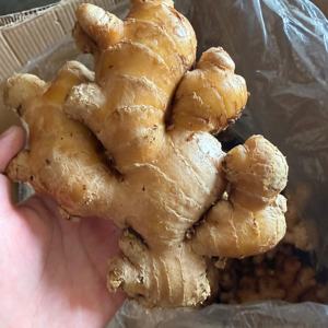 Чистый органический высококачественный сушеный корень старого имбиря с фермы Гуанси, бренд Yongjiang, срок хранения 3-6 месяцев - Product Image 3