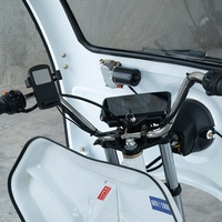 Tricycle Kargo Listrik Berkualitas Tinggi 1000W 60V Bodi Tertutup 2 Penumpang untuk Dewasa