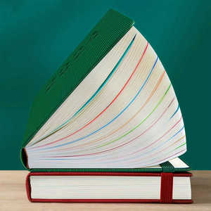 2025 nuovo programma prenota la gestione del tempo delle schede perforate di autodisciplina una pagina al giorno 365 giorno pianifica l'ufficio - Product Image 6