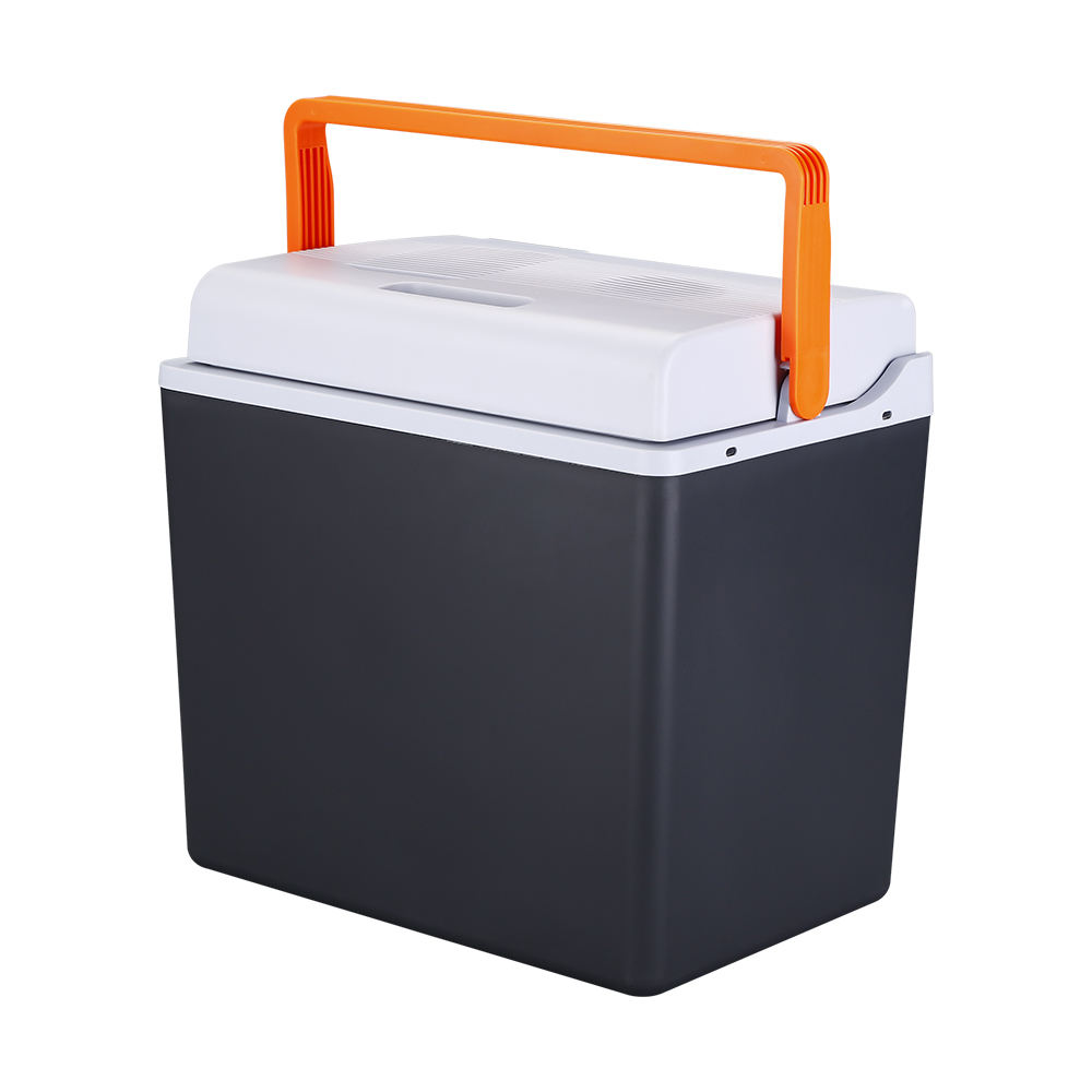 Mini Fridge Peltier Cooler Box 12v Cool Box/Warmer 49L Cooler Box