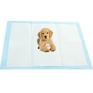 Large Pet Potty Pad Pet High Quality 6 Layer Poo Pads 45x60