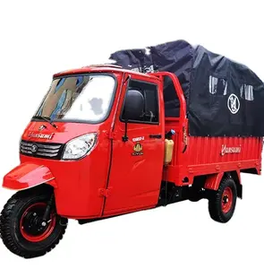 China 3 Wheel Motor Tricycle Cargo 250CC Gasoline Closed Adult Electric Tricycles with Wagon