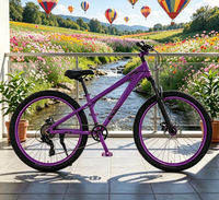 Vélo Dirt Jump Stunt MTB, Vélo à frein à disque avec jantes en alliage couleur assortie pour le cyclisme freestyle en park, vente en gros