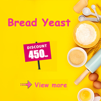 Levain en poudre instantané actif, emballage sous vide, jaune clair, pour la pâte à pain, fermentation rapide, fabriqué en Chine, 500g 450g