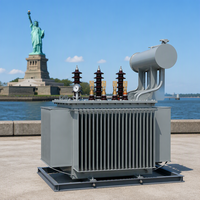 Transformateur de puissance immergé dans l'huile triphasé S20 500 kVA à trois enroulements 50 Hz 60 Hz pour distribution et usage agricole