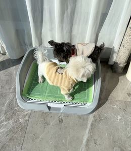 Tapis d'entraînement jetables pour animaux de compagnie, haute absorption, anti-fuite, antidérapants, contrôle des odeurs pour chiots - Product Image 3
