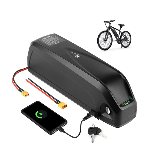 Hot Sale Hailong G80 Electric Bicycle Battery 48v 20ah Battery for E Bike 1000w Electric Bike