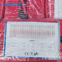 ROPENET yüksek performanslı Polyester dokuma Sling ağır kaldırma CE belgelendirme kaldırma için 5T 3m S:F = 7:1