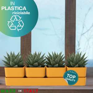 <b>Rectangular</b> Planter 48x12x11 Cm With 4 <b>Pots</b> And Saucer Color Snow - Product Image 3