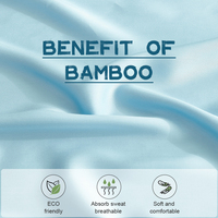 Draps de lit gonflables de couleur personnalisée King Queen de refroidissement moderne de luxe 4 pièces 100% Lyocell de bambou