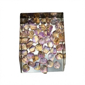 Lote de 25 Piezas de Cuarzo Natural en Bruto de Alta Calidad, Corte Ovalado de 10-12 MM, Efecto Estrella, Sin Tratar, Corte a Mano - Product Image 2
