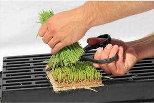 Bio-Pflanzen-und Samen keimung 100% Jutefilz-Jutestoff Micro greens Hanf-Wachstums matte - Product Image 2