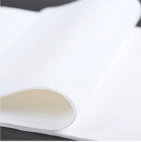Papier sulfurisé en silicone sur mesure, vente en gros d'usine, papier anti-graisse double face