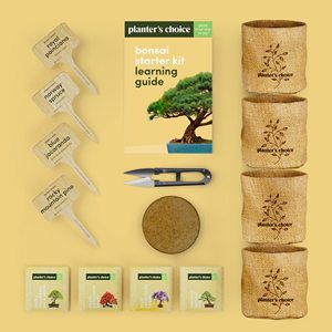 Bonsai Starter Kit Cadeaux de jardinage pour femmes hommes Unique DIY Loisirs Artisanat <span class=keywords><strong>Hobby</strong></span> Kits pour adultes Idées cadeaux de Noël insolites fo - Product Image 3
