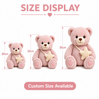 Peluche Ours Brodé Personnalisé Direct Usine, Anti-Stress, Tissu Ultra Doux, Artisanat OEM/ODM pour Marques IP Originales