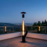 Poêle à granulés de bois en acier au carbone au design moderne avec torche et chauffage à pellets pour villas, ensemble d'accessoires pour tuyau d'incinération
