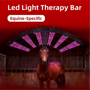Led Suspendus Chevaux Equipement Equin 660nm 850nm Led Lumière Rouge Proche Infrarouge Pet Therapy pour Cheval Panneau - Product Image 5