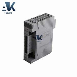 Módulo de entrada analógica de Yokogawa S1 de 1/2" - Product Image 1