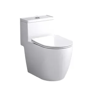 Articoli sanitari di alta qualità Design indiano un pezzo sifonico Inodoro bagno di casa WC di WC