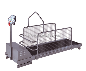 Equipo de Entrenamiento de Agilidad para Perros, Moderno y Personalizado, Máquina para Caminar para Animales con Peso Ajustable, Caminadora Económica de Acero para Perros - Product Image 4