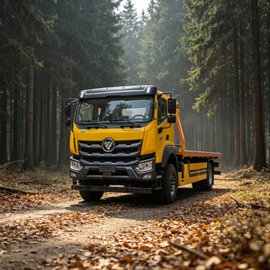 Camion <span class=keywords><strong>de</strong></span> dépannage/remorquage à plateau QTD 4x2, conduite à gauche, diesel, manuel, avec empattement <span class=keywords><strong>de</strong></span> 6000 mm, capacité <span class=keywords><strong>de</strong></span> 10 tonnes - Product Image 1